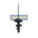 Amortisseur MM-00550 Japanparts, Vignette 6