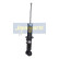 Amortisseur MM-00614 Japanparts, Vignette 2