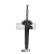 Amortisseur MM-00777 Japanparts