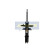 Amortisseur MM-00855 Japanparts