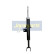 Amortisseur MM-00860 Japanparts, Vignette 3