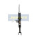 Amortisseur MM-00861 Japanparts