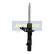 Amortisseur MM-00924 Japanparts, Vignette 5