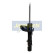 Amortisseur MM-00925 Japanparts, Vignette 2