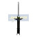 Amortisseur MM-00953 Japanparts