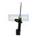 Amortisseur MM-00963 Japanparts, Vignette 2