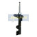 Amortisseur MM-01054 Japanparts, Vignette 3
