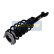 Amortisseur MM-01273 Japanparts
