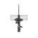 Amortisseur MM-10006 Japanparts, Vignette 4