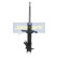 Amortisseur MM-10030 Japanparts, Vignette 6