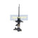 Amortisseur MM-10050 Japanparts, Vignette 4