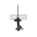 Amortisseur MM-10050 Japanparts, Vignette 6