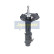 Amortisseur MM-10065 Japanparts, Vignette 5