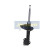 Amortisseur MM-10069 Japanparts, Vignette 5