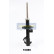 Amortisseur MM-10086 Japanparts, Vignette 2