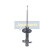 Amortisseur MM-33006 Japanparts, Vignette 3