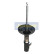 Amortisseur MM-33009 Japanparts