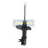 Amortisseur MM-33009 Japanparts, Vignette 3