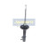 Amortisseur MM-33012 Japanparts, Vignette 4