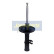 Amortisseur MM-33022 Japanparts, Vignette 3