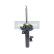 Amortisseur MM-33033 Japanparts, Vignette 6