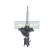 Amortisseur MM-40022 Japanparts, Vignette 4