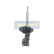 Amortisseur MM-40022 Japanparts, Vignette 5