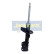 Amortisseur MM-40039 Japanparts, Vignette 2