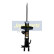 Amortisseur MM-40064 Japanparts