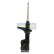 Amortisseur MM-50005 Japanparts, Vignette 2