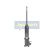 Amortisseur MM-80002 Japanparts, Vignette 4