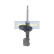 Amortisseur MM-80011 Japanparts, Vignette 5