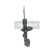 Amortisseur MM-80020 Japanparts, Vignette 5