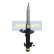 Amortisseur MM-AS023 Japanparts