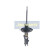 Amortisseur MM-HY004 Japanparts, Vignette 4