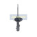 Amortisseur MM-HY004 Japanparts, Vignette 6