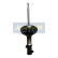 Amortisseur MM-HY013 Japanparts, Vignette 2