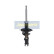 Amortisseur MM-HY019 Japanparts, Vignette 4