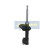 Amortisseur MM-HY050 Japanparts, Vignette 5