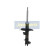 Amortisseur MM-HY061 Japanparts, Vignette 4