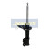 Amortisseur MM-HY078 Japanparts, Vignette 2
