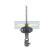 Amortisseur MM-W0006 Japanparts
