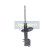 Amortisseur MM-W0006 Japanparts, Vignette 2
