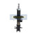Amortisseur MM-W0016 Japanparts, Vignette 4
