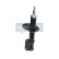 Amortisseur MM-W0016 Japanparts, Vignette 5
