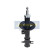 Amortisseur MM-W0016 Japanparts, Vignette 6