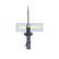 Amortisseur MM-W0019 Japanparts, Vignette 6