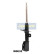 Amortisseur MM-W0032 Japanparts, Vignette 2