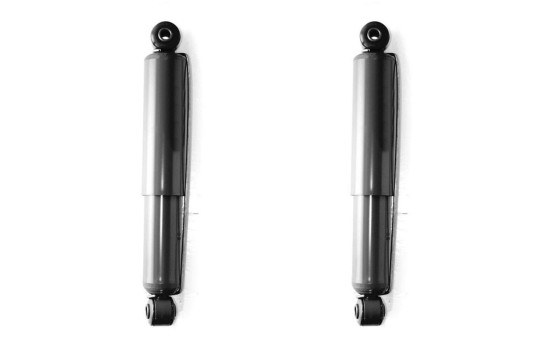 Amortisseur MONROE ADVENTURE D8028, Image 2