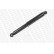Amortisseur MONROE MAGNUM Axle F5010, Vignette 3